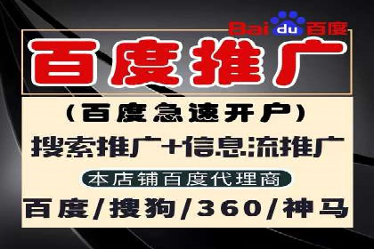 电商平台信息流广告的投放策略与效果评估案例